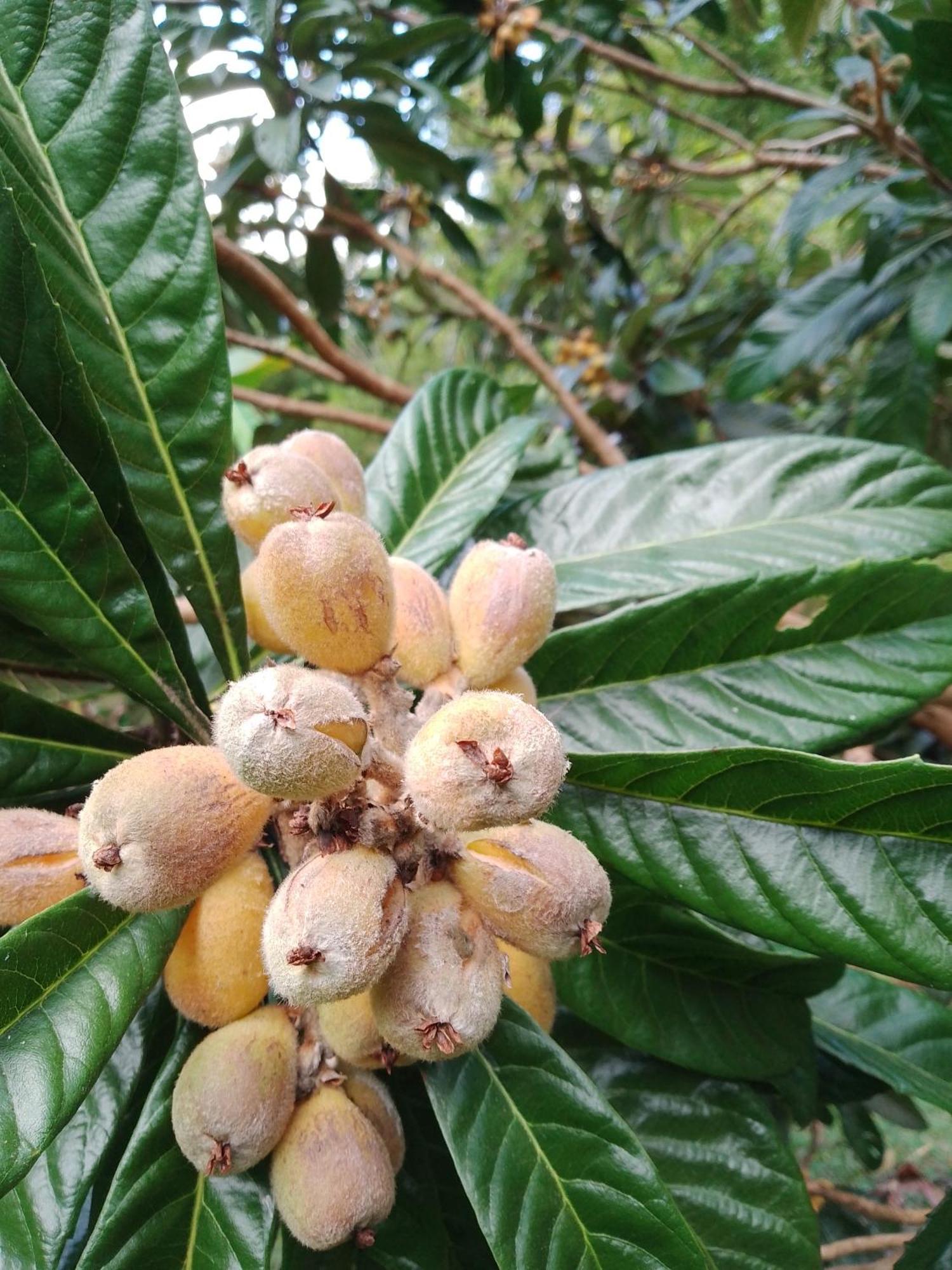 Vila Rancho Pe Da Pedra São Bento do Sapucaí Pokoj fotografie