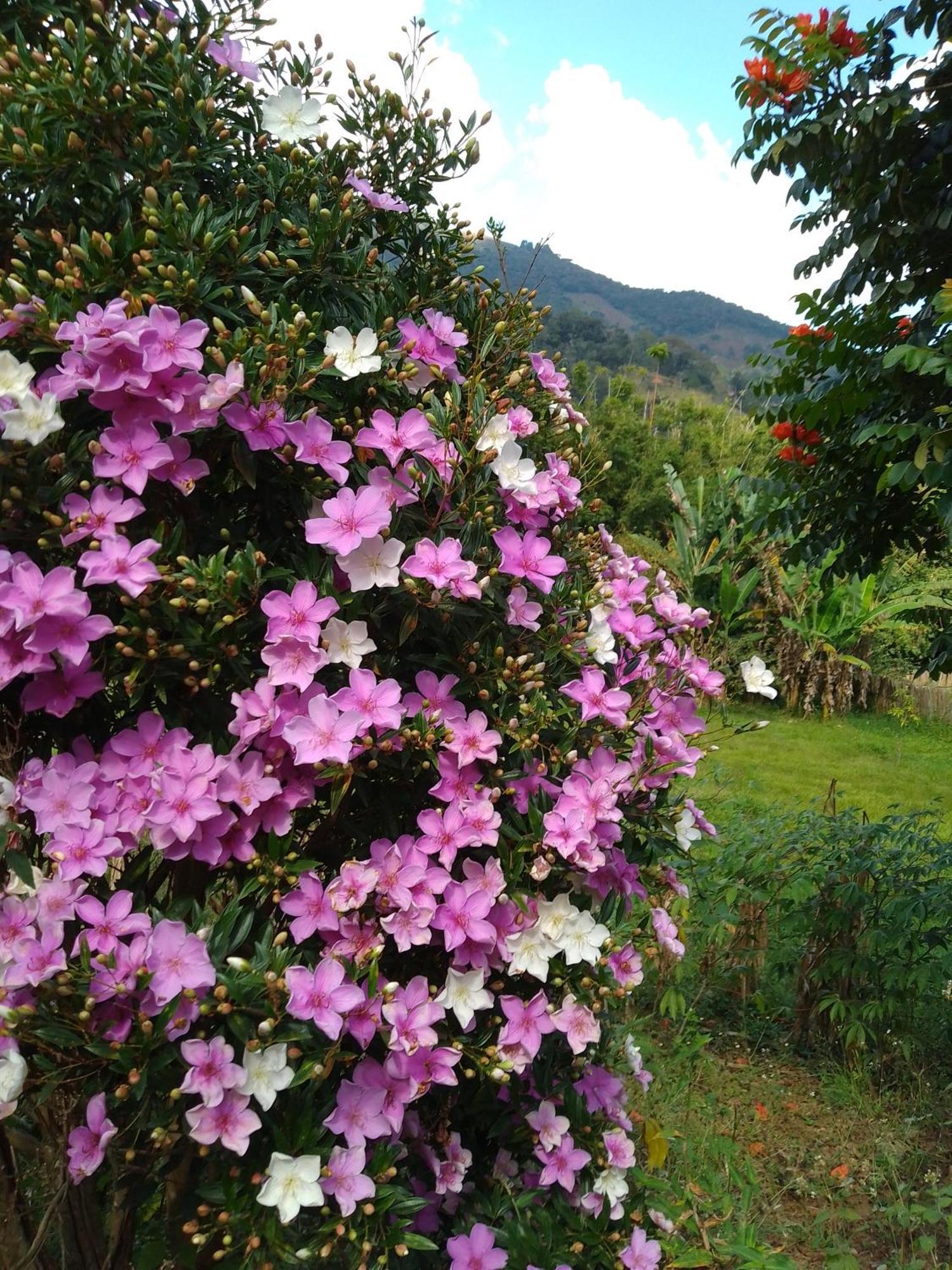 Vila Rancho Pe Da Pedra São Bento do Sapucaí Pokoj fotografie