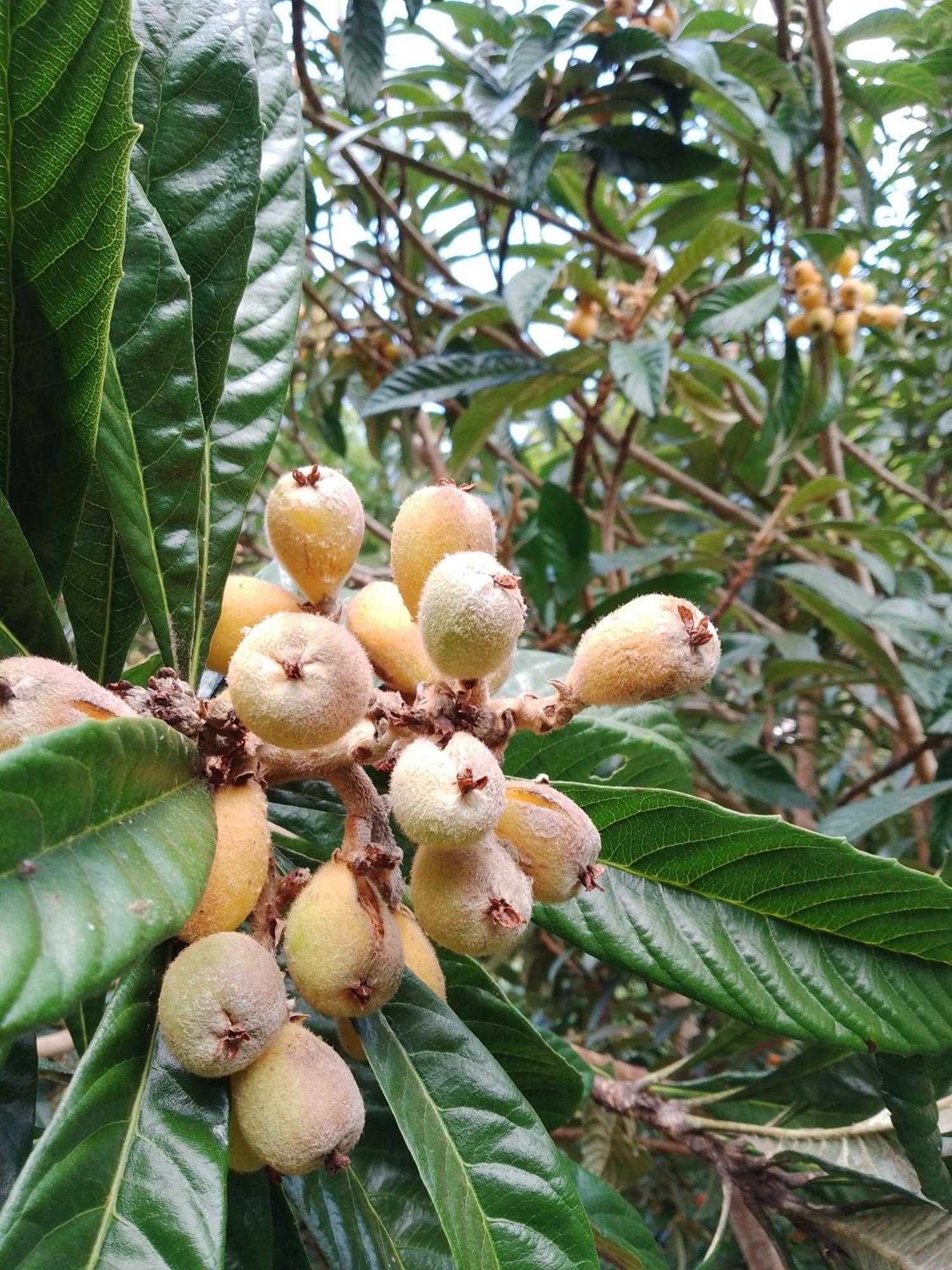 Vila Rancho Pe Da Pedra São Bento do Sapucaí Pokoj fotografie